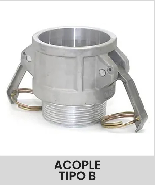 Descripción de la imagen